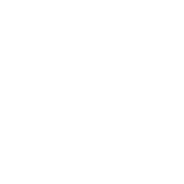 Electrical Systems