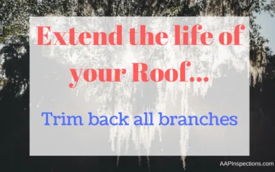 Trim back branches from your roof to extend the life of it