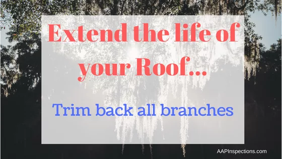 Trim back branches from your roof to extend the life of it