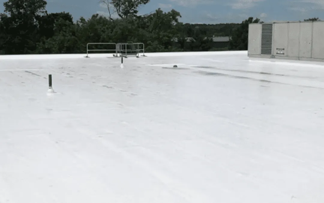 6 Most Common Commercial Roof Types