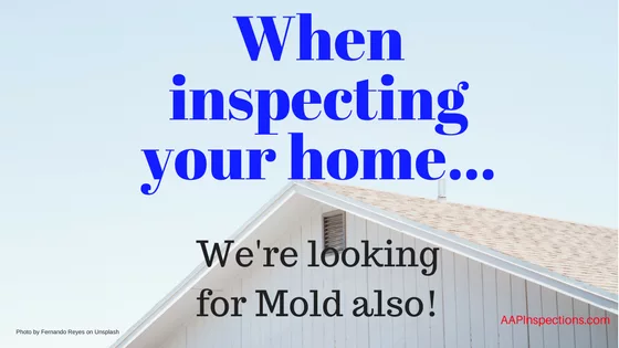 When in inspecting your home we also look for mold